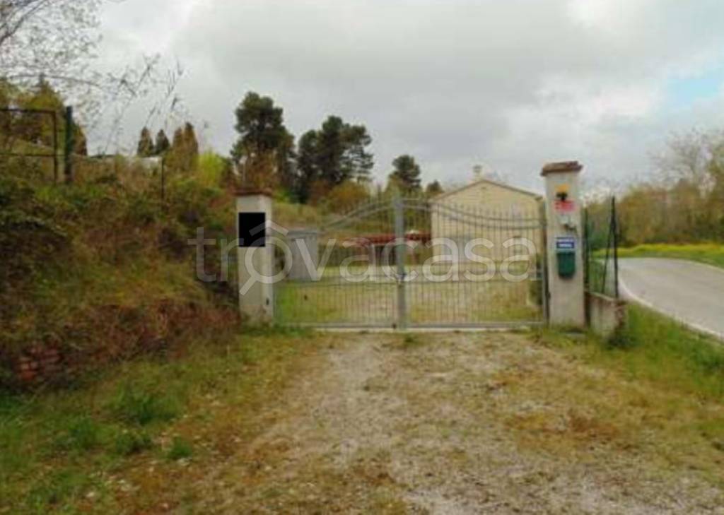 immagine annuncio 2 di 12