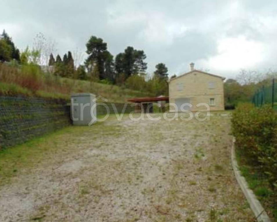 immagine annuncio 4 di 12