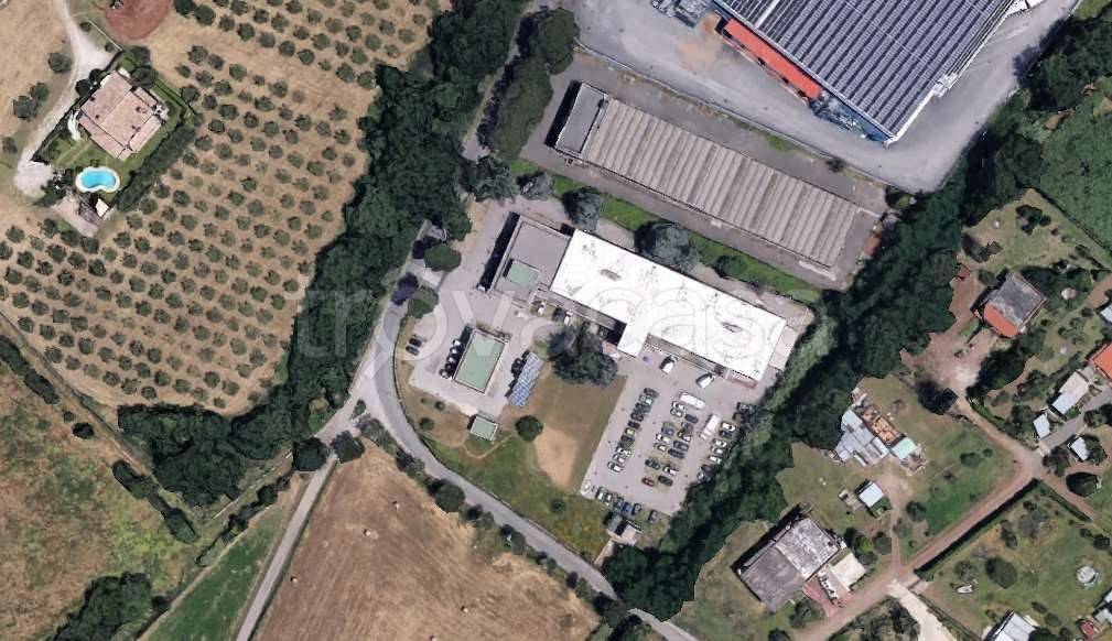 immagine annuncio 5 di 9