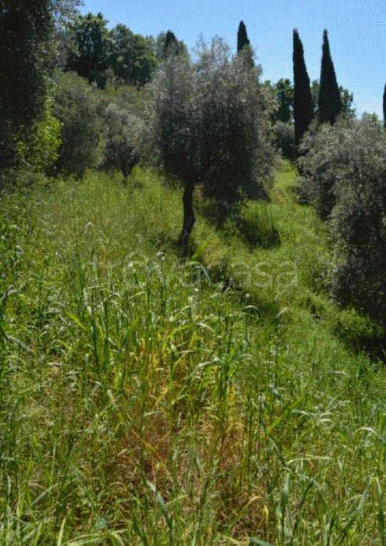 immagine annuncio 2 di 13