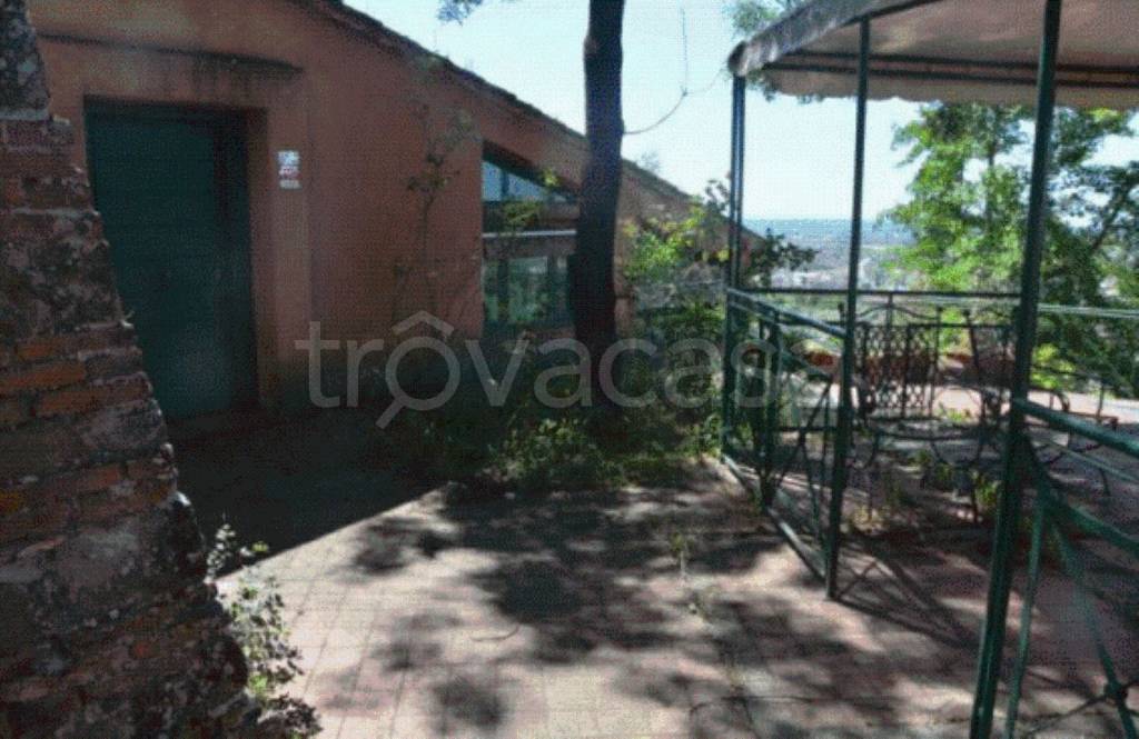 immagine annuncio 5 di 13