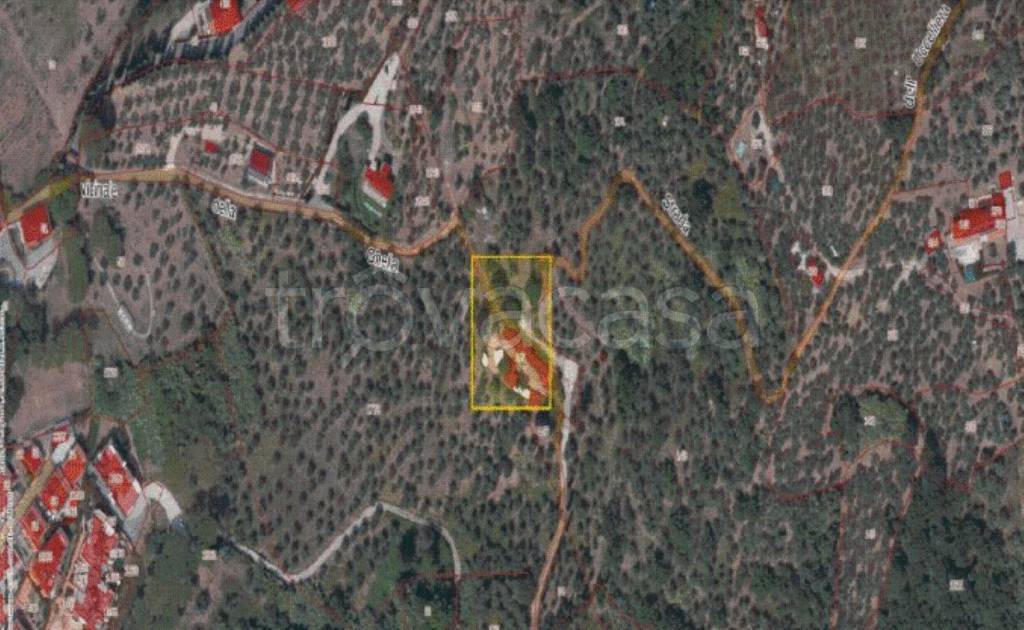 immagine annuncio 12 di 13