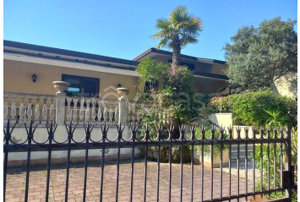 immagine annuncio 2 di 11