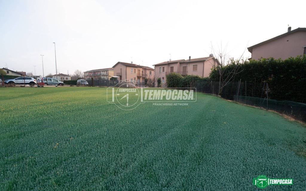 immagine annuncio 5 di 11