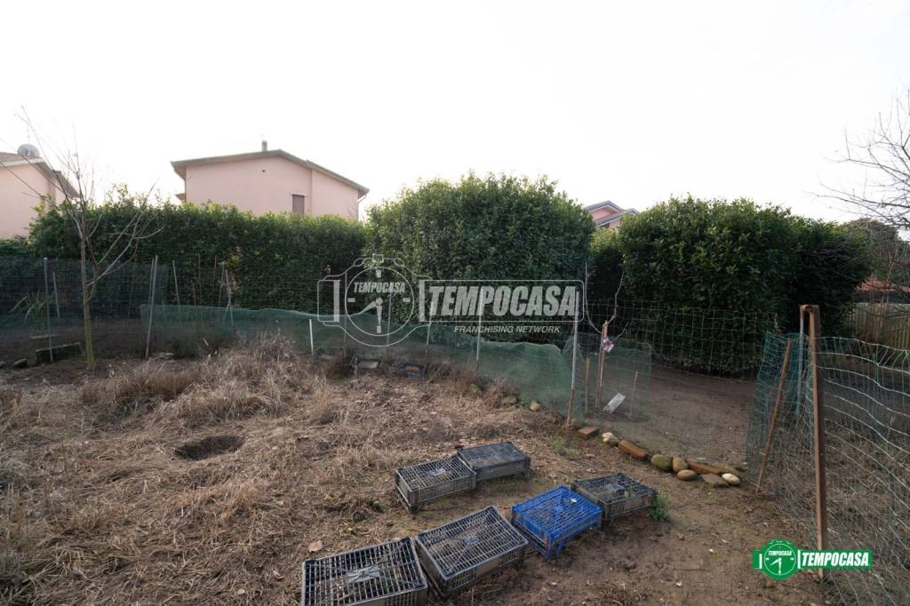immagine annuncio 7 di 11
