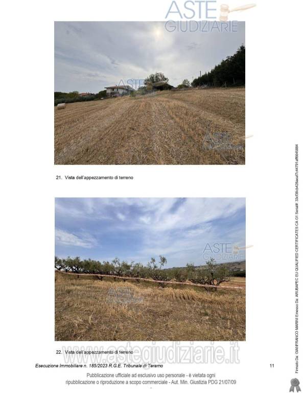 immagine annuncio 14 di 15