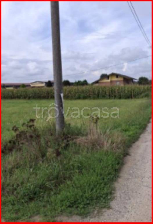 immagine annuncio 3 di 12