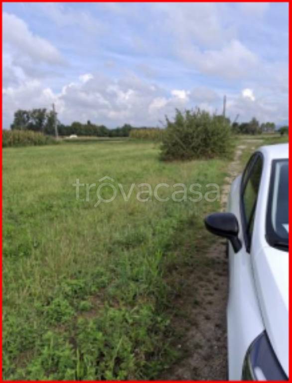 immagine annuncio 4 di 12