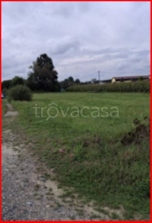 immagine annuncio 5 di 12