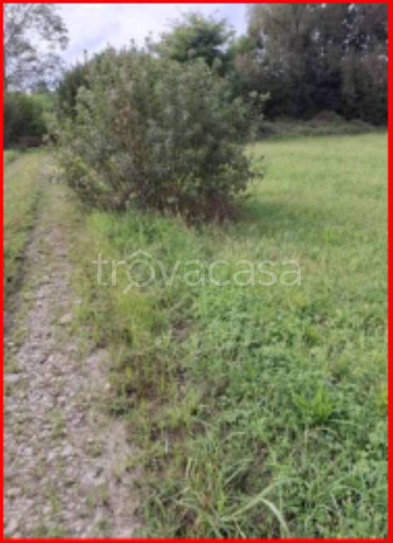 immagine annuncio 6 di 12