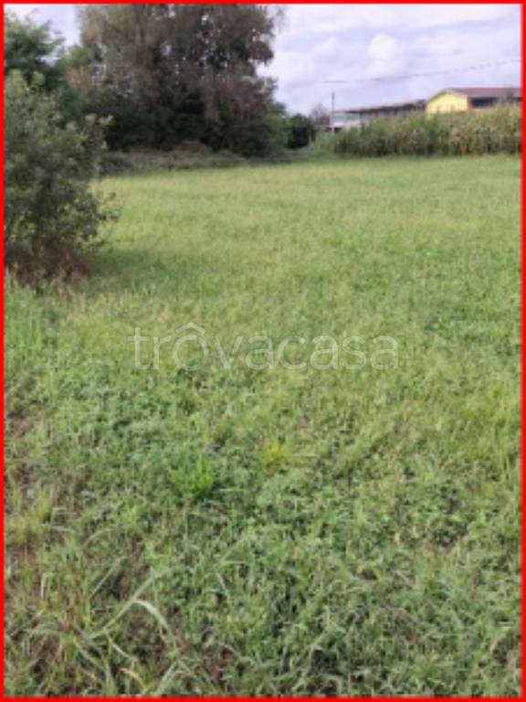 immagine annuncio 7 di 12