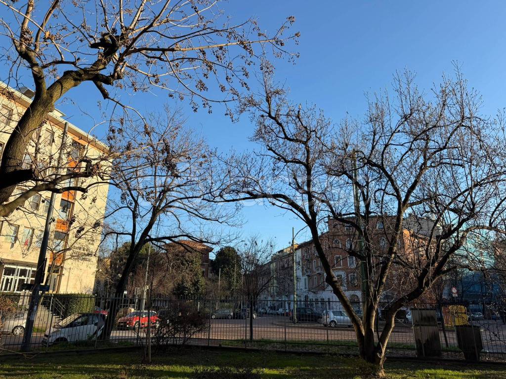 immagine annuncio 7 di 15