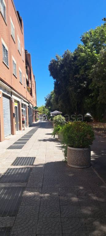 immagine annuncio 5 di 14