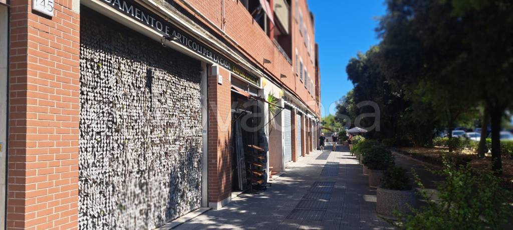 immagine annuncio 8 di 14