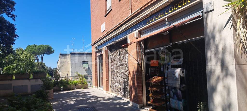 immagine annuncio 10 di 14