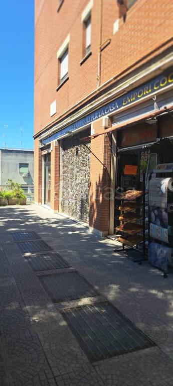 immagine annuncio 11 di 14