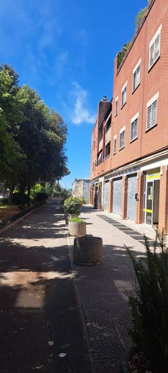 immagine annuncio 12 di 14