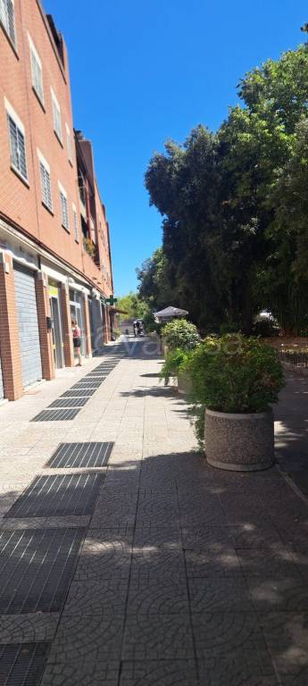 immagine annuncio 13 di 14