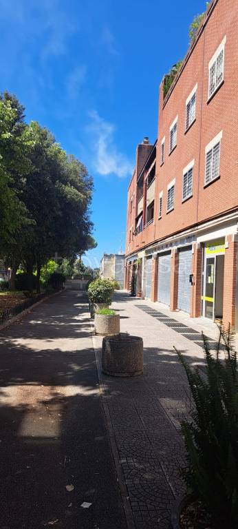 immagine annuncio 7 di 14