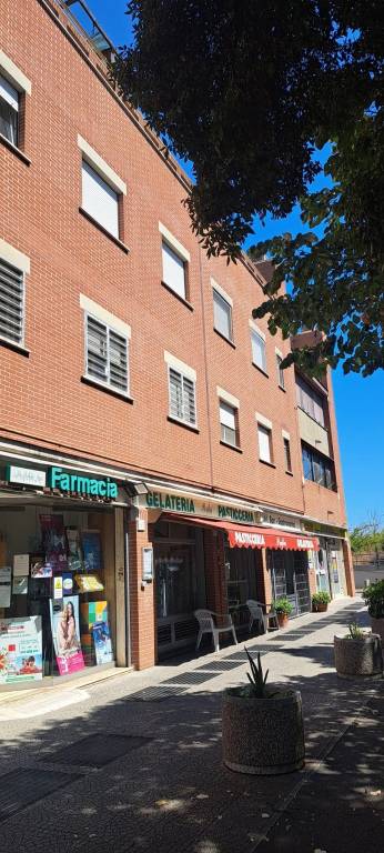 immagine annuncio 6 di 14