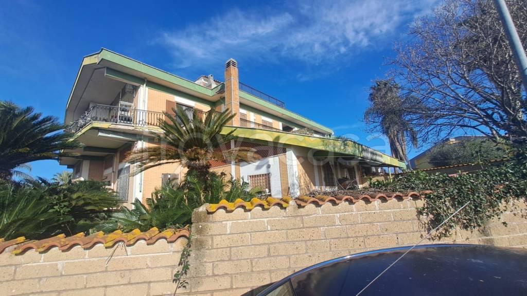 immagine annuncio 1 di 14