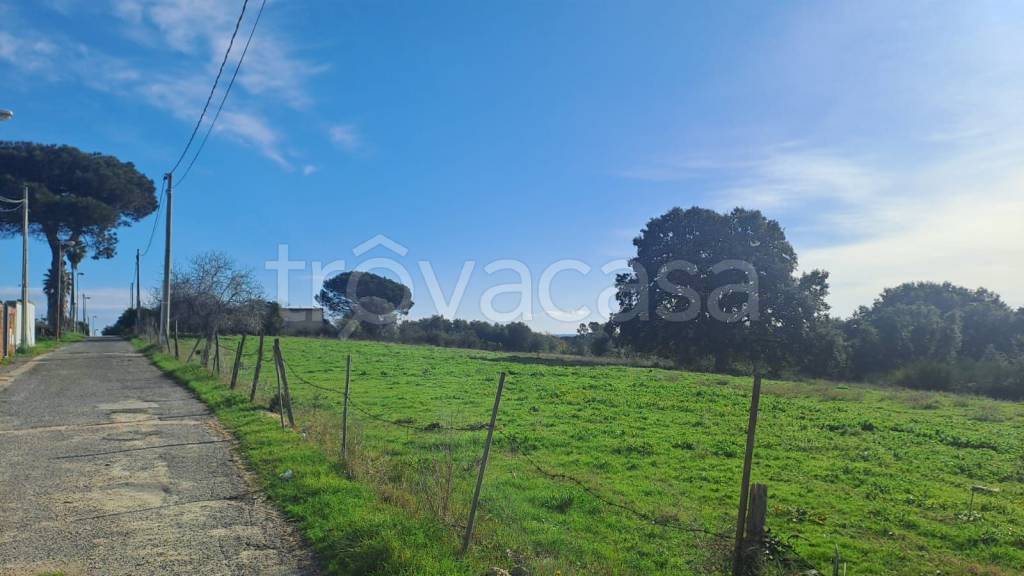 immagine annuncio 13 di 14