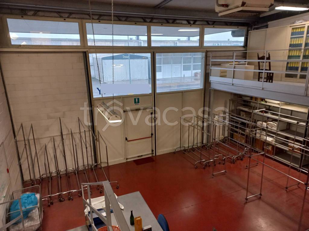 immagine annuncio 10 di 15