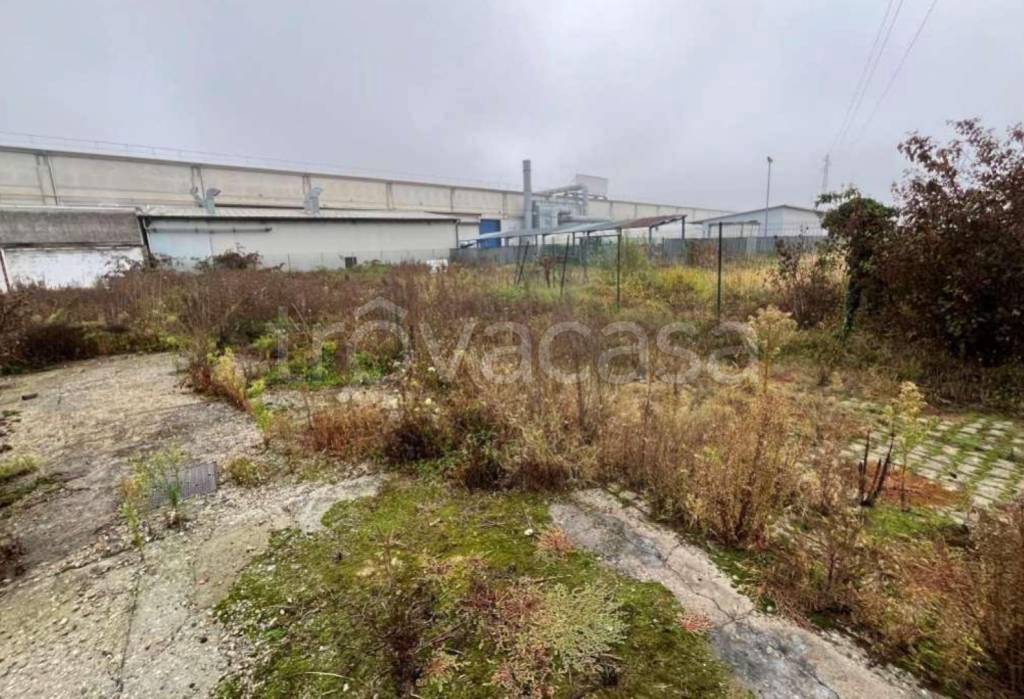 immagine annuncio 3 di 12