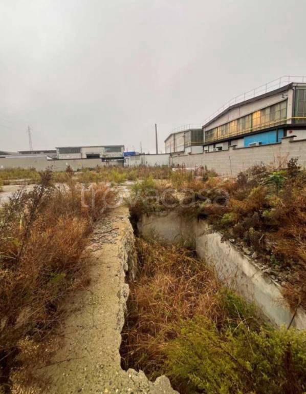 immagine annuncio 4 di 12