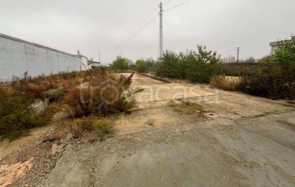 immagine annuncio 5 di 12