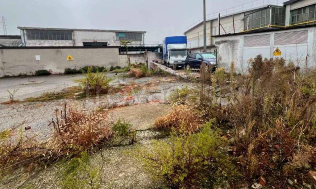 immagine annuncio 6 di 12