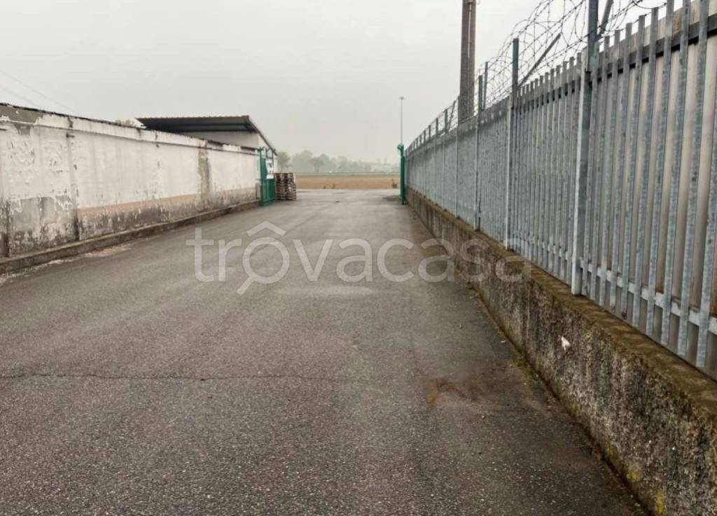 immagine annuncio 8 di 12