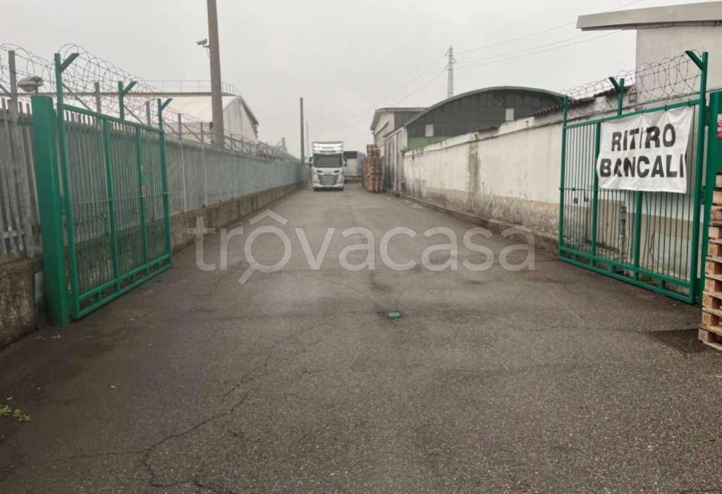 immagine annuncio 9 di 12