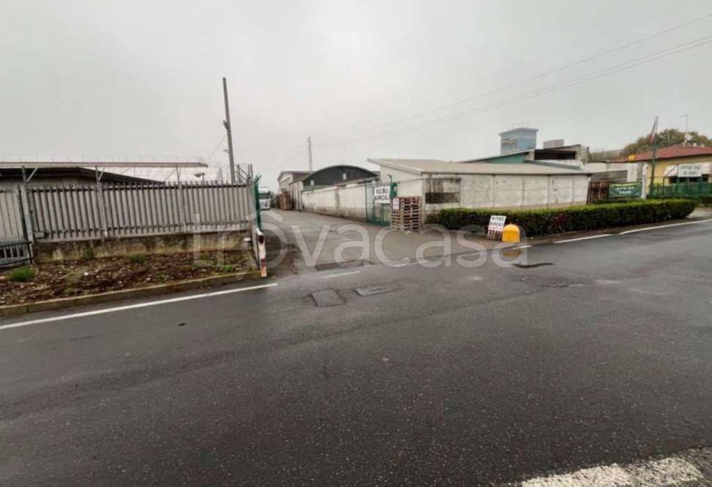 immagine annuncio 10 di 12