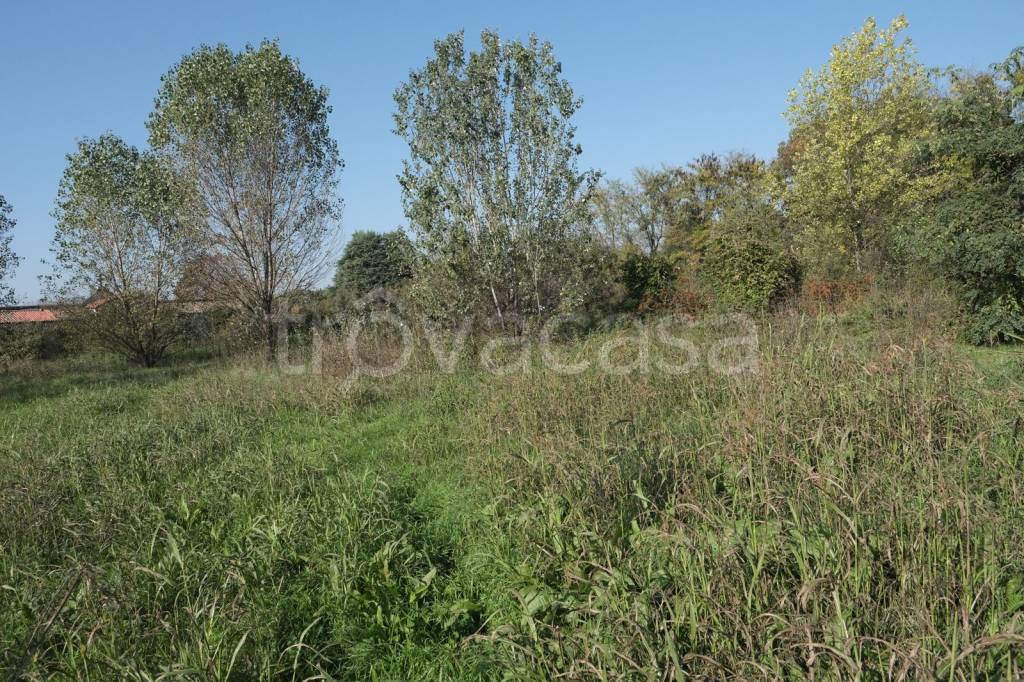 immagine annuncio 2 di 7