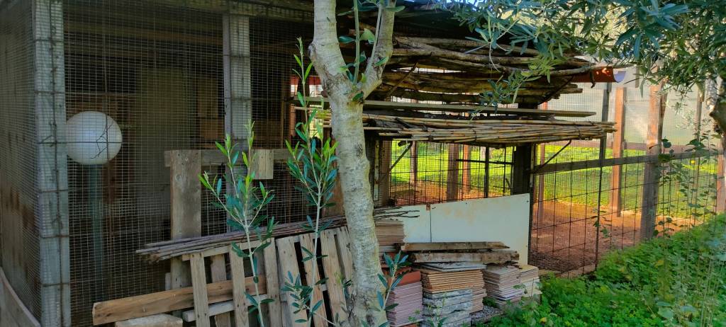 immagine annuncio 7 di 15