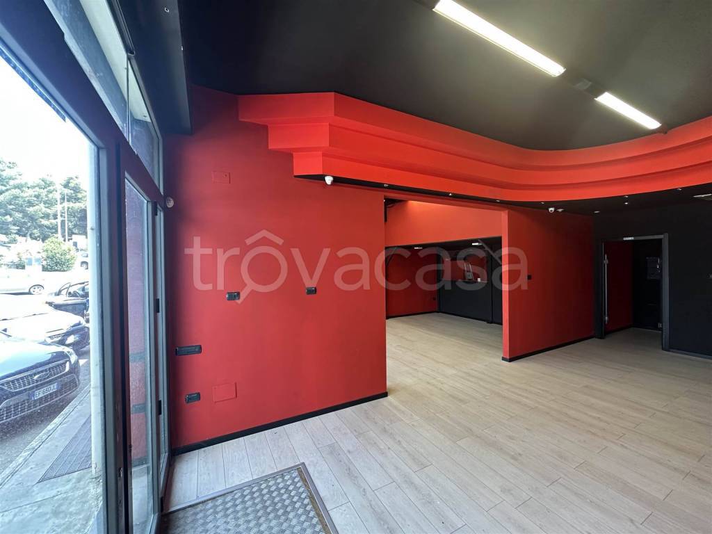 immagine annuncio 6 di 14