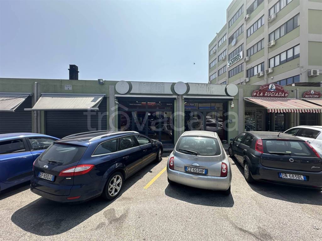 immagine annuncio 11 di 14