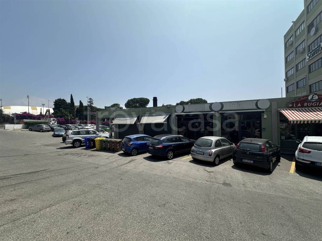 immagine annuncio 12 di 14