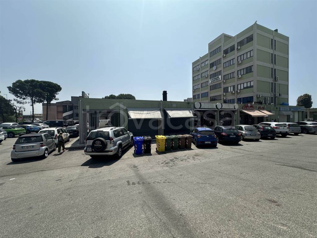 immagine annuncio 13 di 14