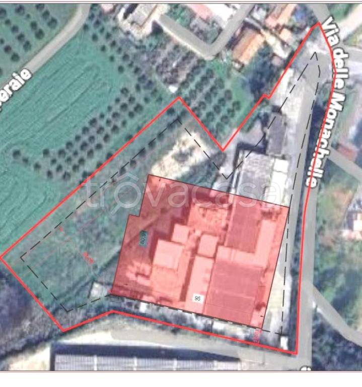 immagine annuncio 1 di 2