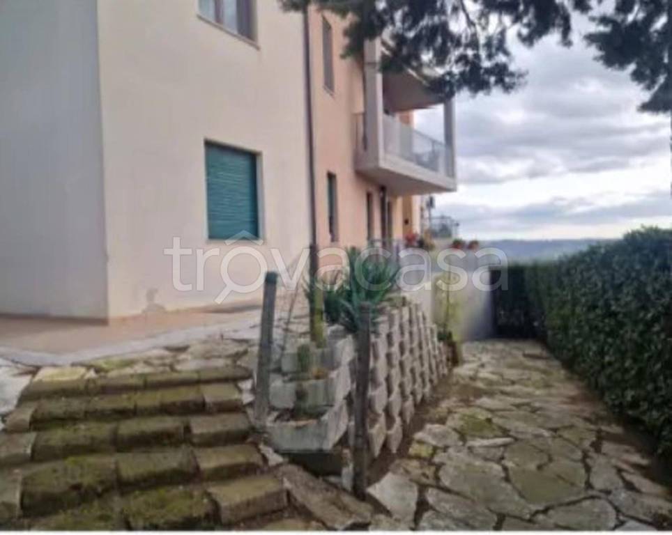 immagine annuncio 6 di 13