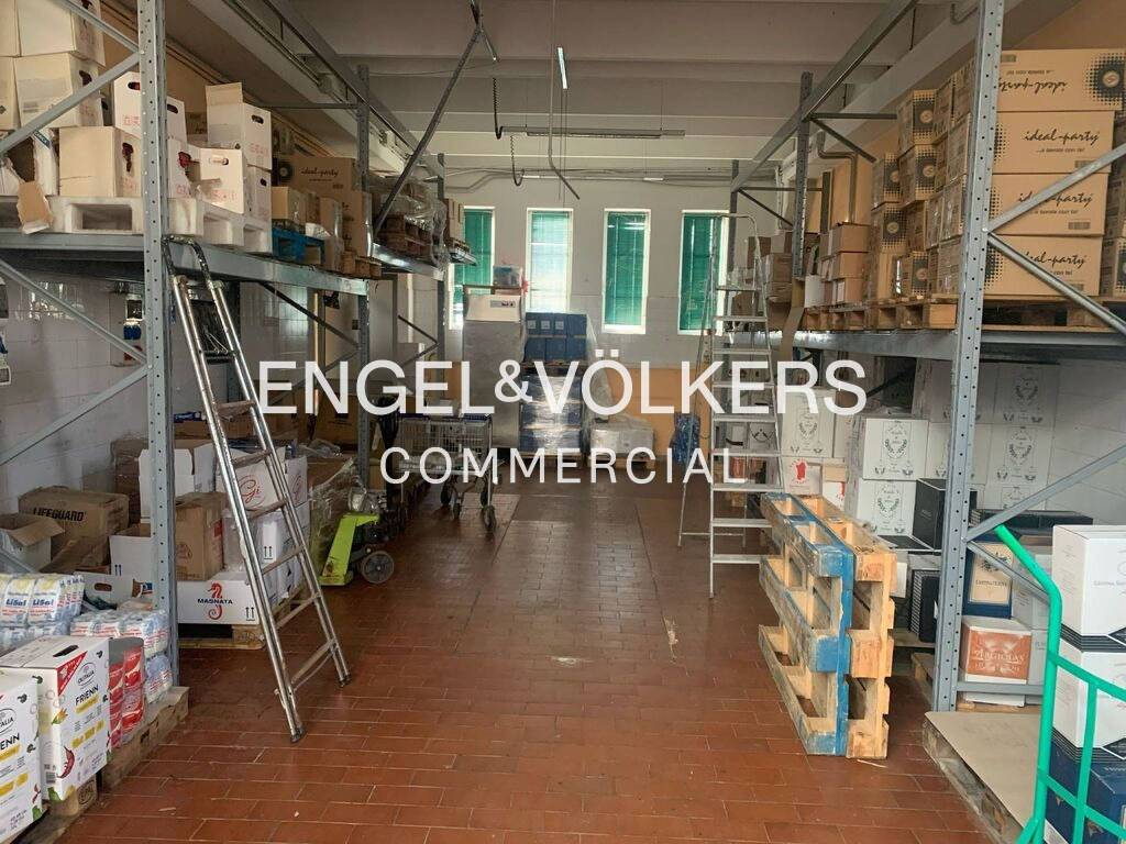 immagine annuncio 4 di 13