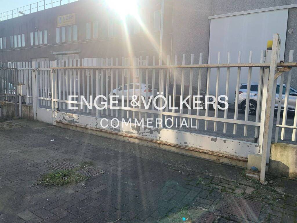 immagine annuncio 6 di 13