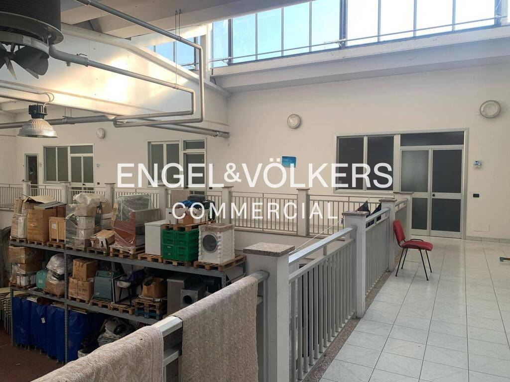 immagine annuncio 9 di 13