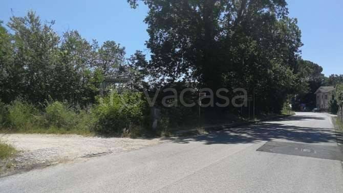 immagine annuncio 3 di 7