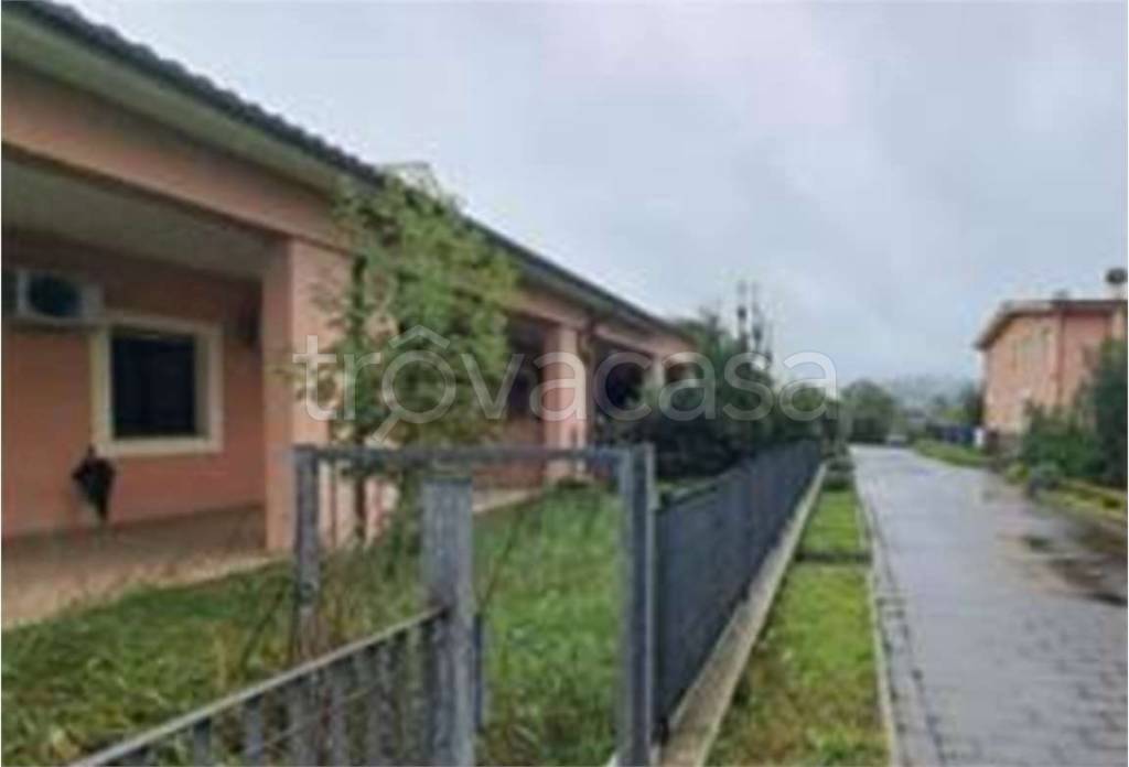 immagine annuncio 1 di 6