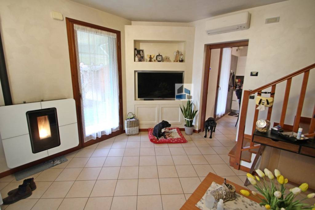 immagine annuncio 1 di 14