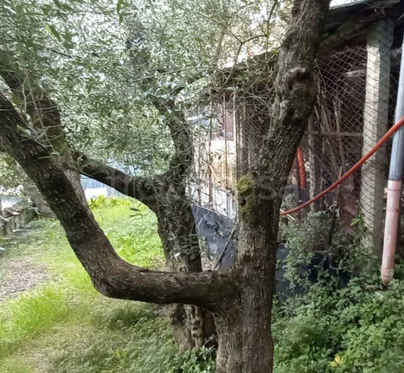 immagine annuncio 2 di 11