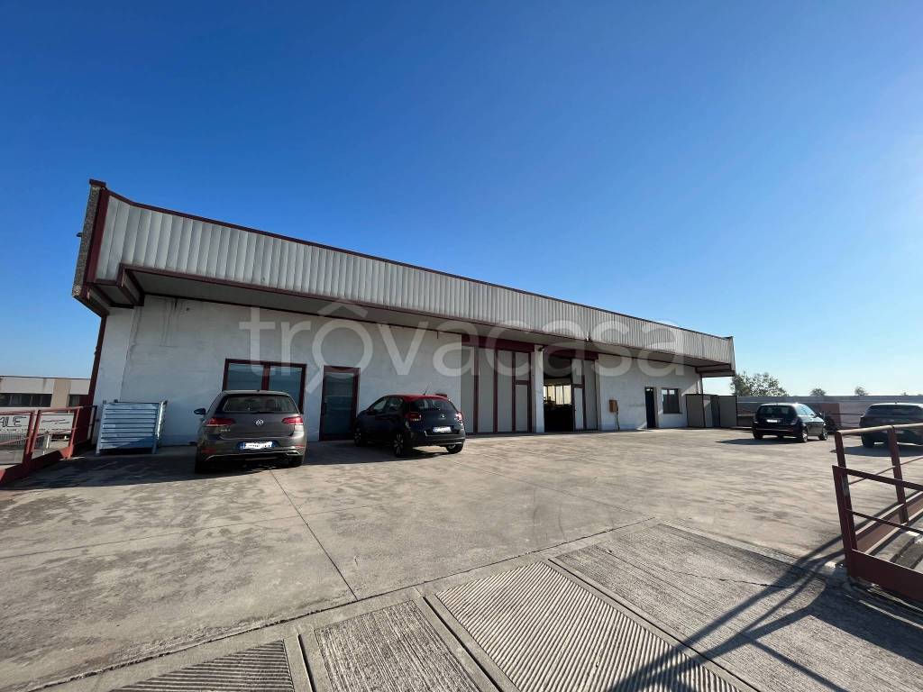 immagine annuncio 3 di 11